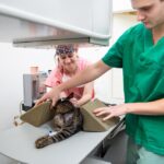 Veterinární klinika z Prahy, která léčí zvířata z celé střední Evropy