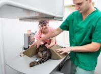 Veterinární klinika z Prahy, která léčí zvířata z celé střední Evropy